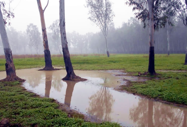 Chhilchhila Wildlife Sanctuary haryana