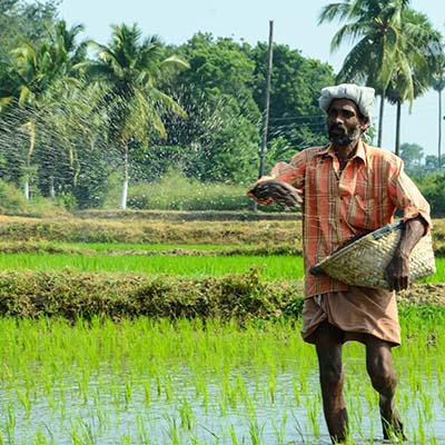 Haryana Agriculture